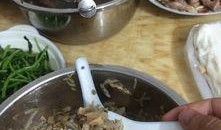 网友爆料美食视频大全,网友爆料美食盛宴