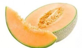 网红吃瓜免费入口下载,下载攻略大公开